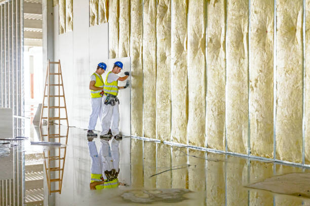 Best DIY Insulation Kits and Guidance in Hagerstown, MD